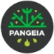 Pangeia